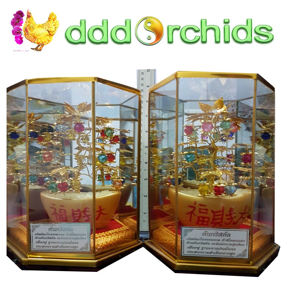 ต้นคริสตัล ต้นไม้นำโชค ดึงดูดเงินทองทรัพย์สิน ความรัก สิ่งดี ๆ เข้าสู่บ้าน+ร้านค้า+บริษัท ของประดับบ้านมงคล (จำหน่ายเป็นชุด 2 ต้น)