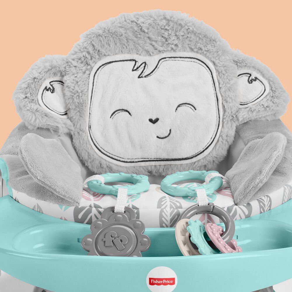 เก้าอี้นั่ง Fisher-Price SnugaMonkey Sit Me Up Floor Seat