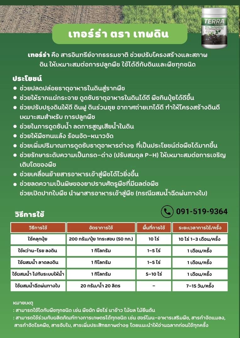 เทอร์ร่าเทพดิน