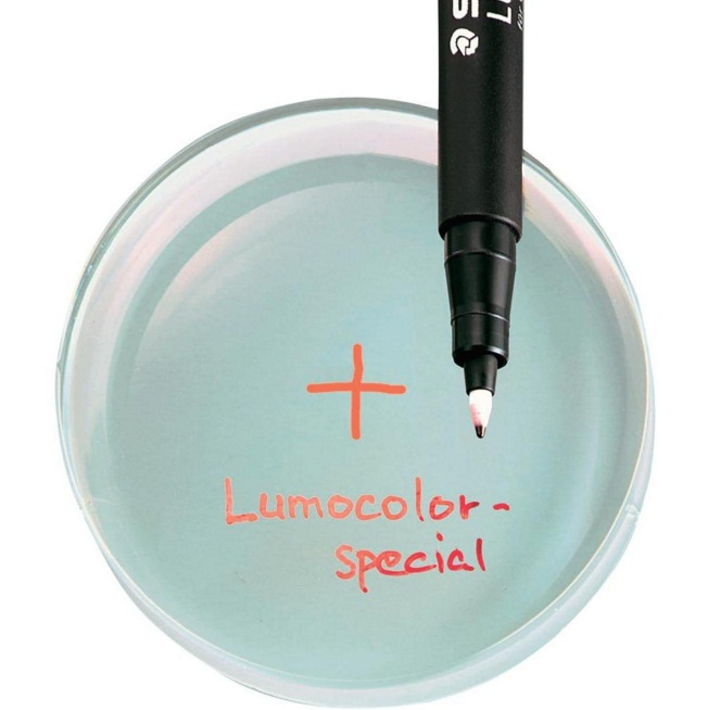 ปากกาเขียนวัสดุ Staedtler Lumocolor 319F Special (ราคา1กล่อง,10ด้าม)