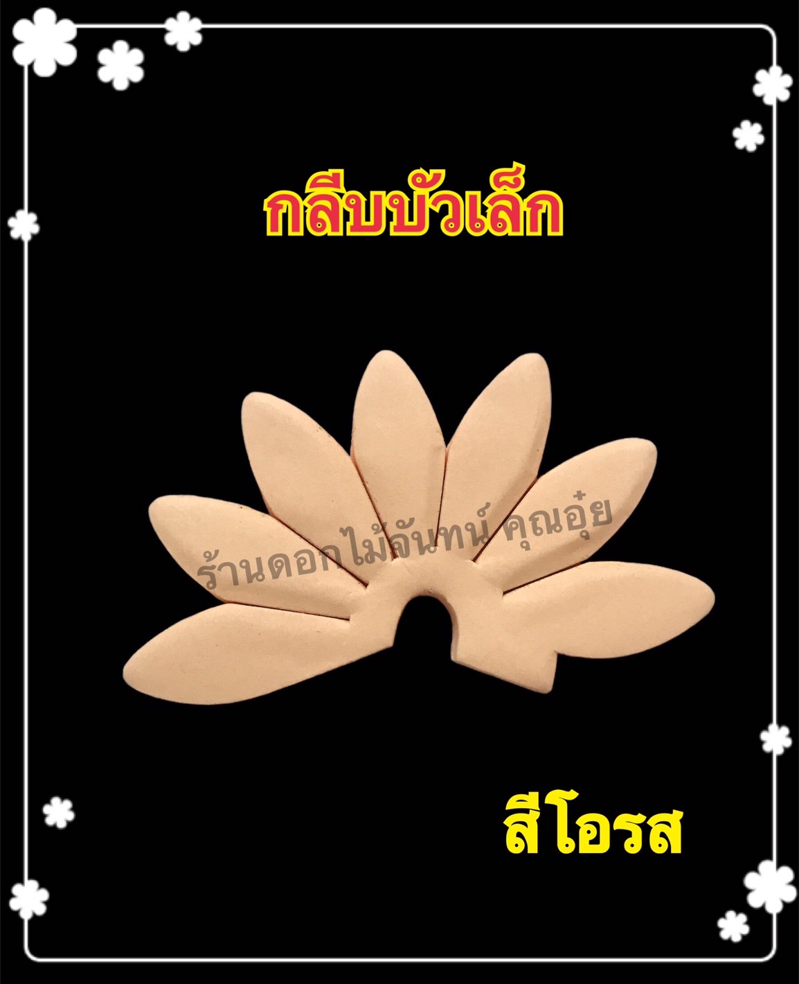 กลีบบัวเล็ก สีโอรส