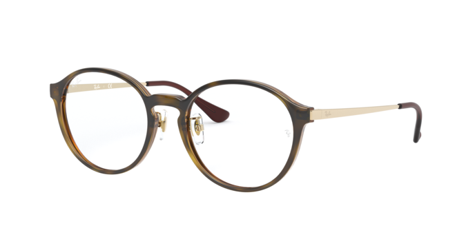RayBan RX7178D 2012