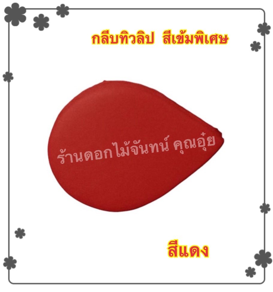 กลีบดอกทิวลิป สีแดง