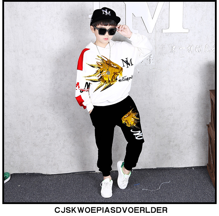 ชุดเต้น ชุดฮิปฮอปแขนยาว ลายสิงห์