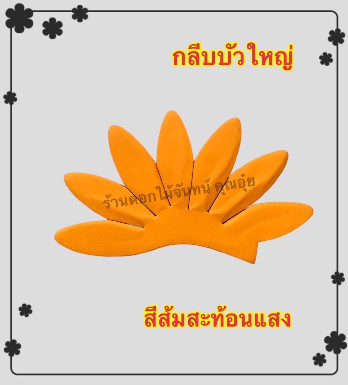 กลีบบัวใหญ่ สีส้มสะท้อน