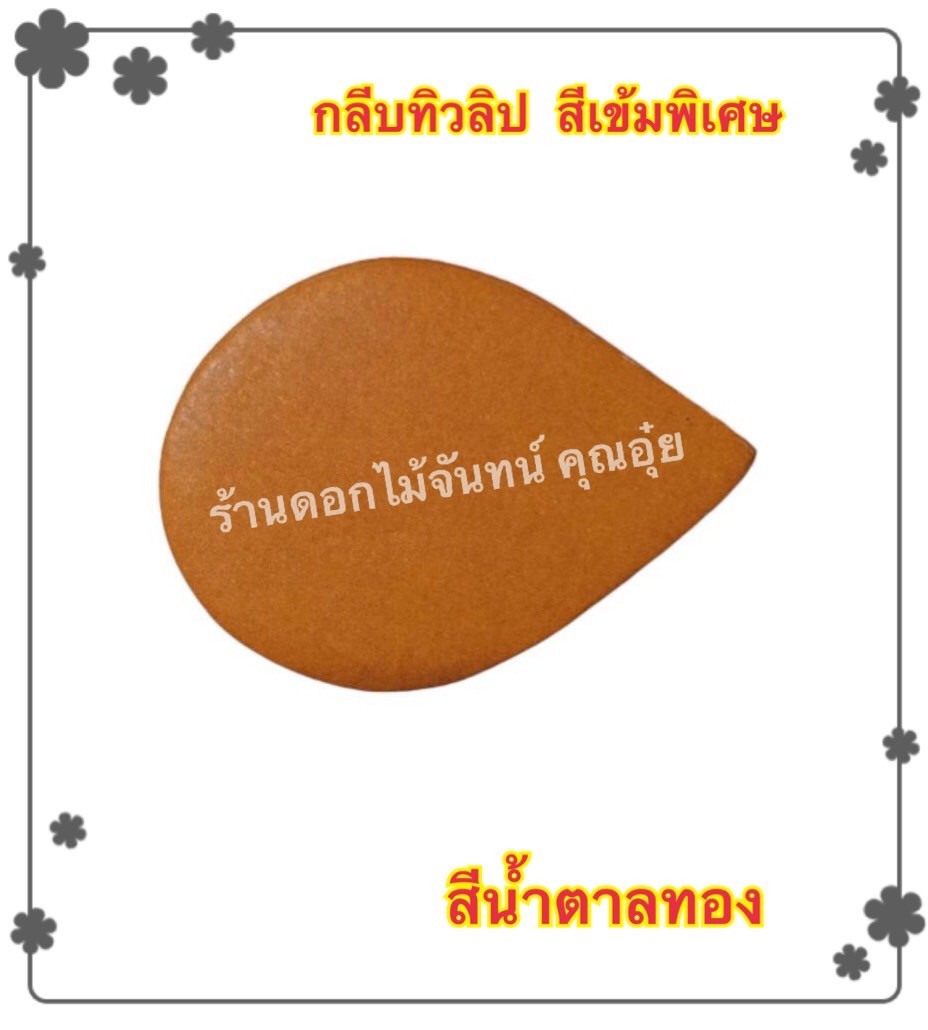 กลีบดอกทิวลิป สีน้ำตาลทอง