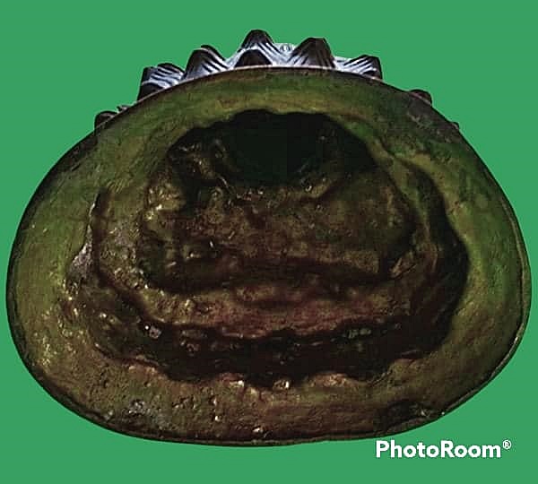 พระบูชา วัดศาลพันท้ายนรสิงห์ จ.สมุทรสาคร