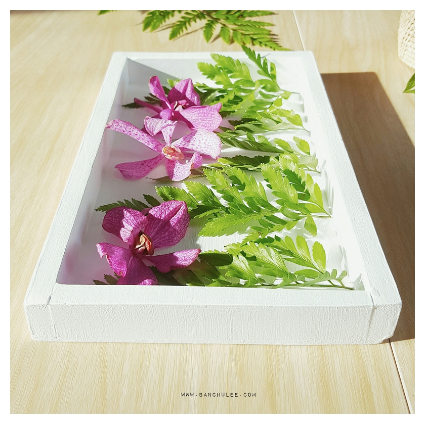 White Wooden Tray
