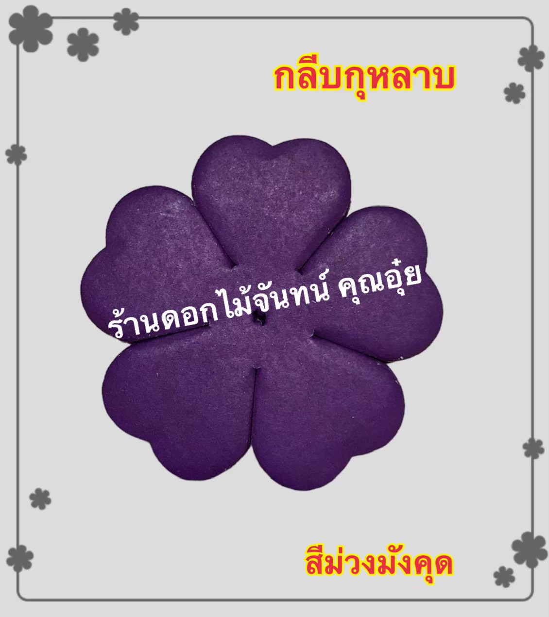 กลีบกุหลาบ สีม่วงมังคุด