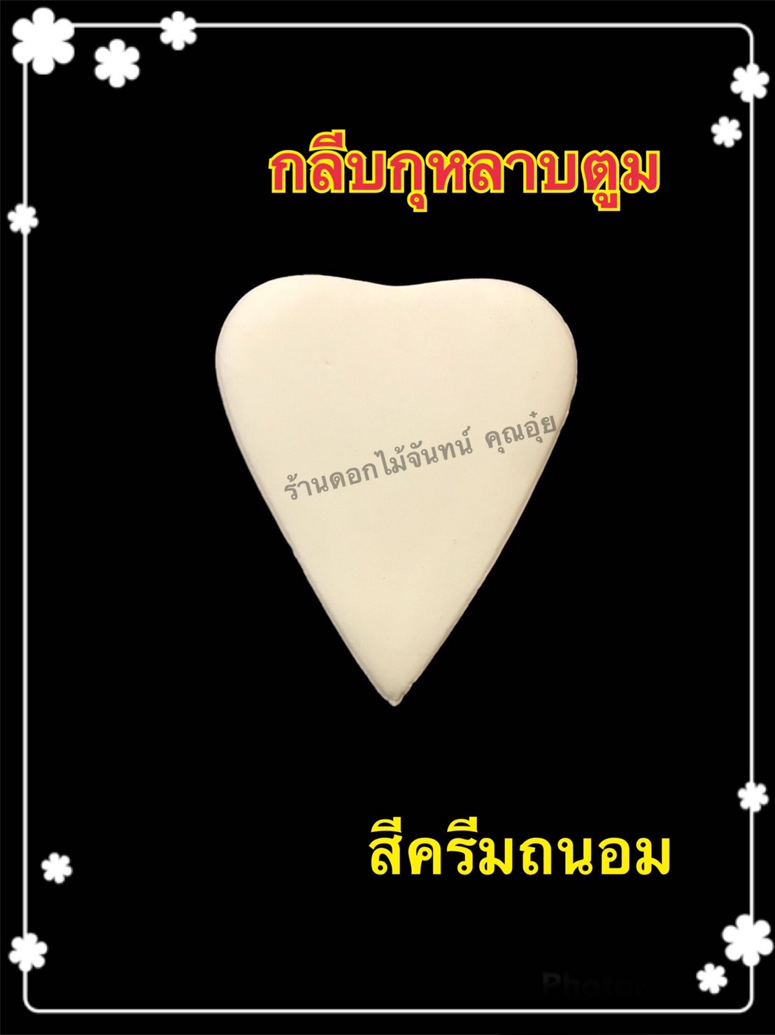 กลีบกุหลาบตูม สีครีมถนอม