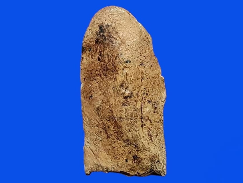 พระรอด วัดมหาวัน เนื้อดิน พิมพ์ใหญ่ ปี 2500