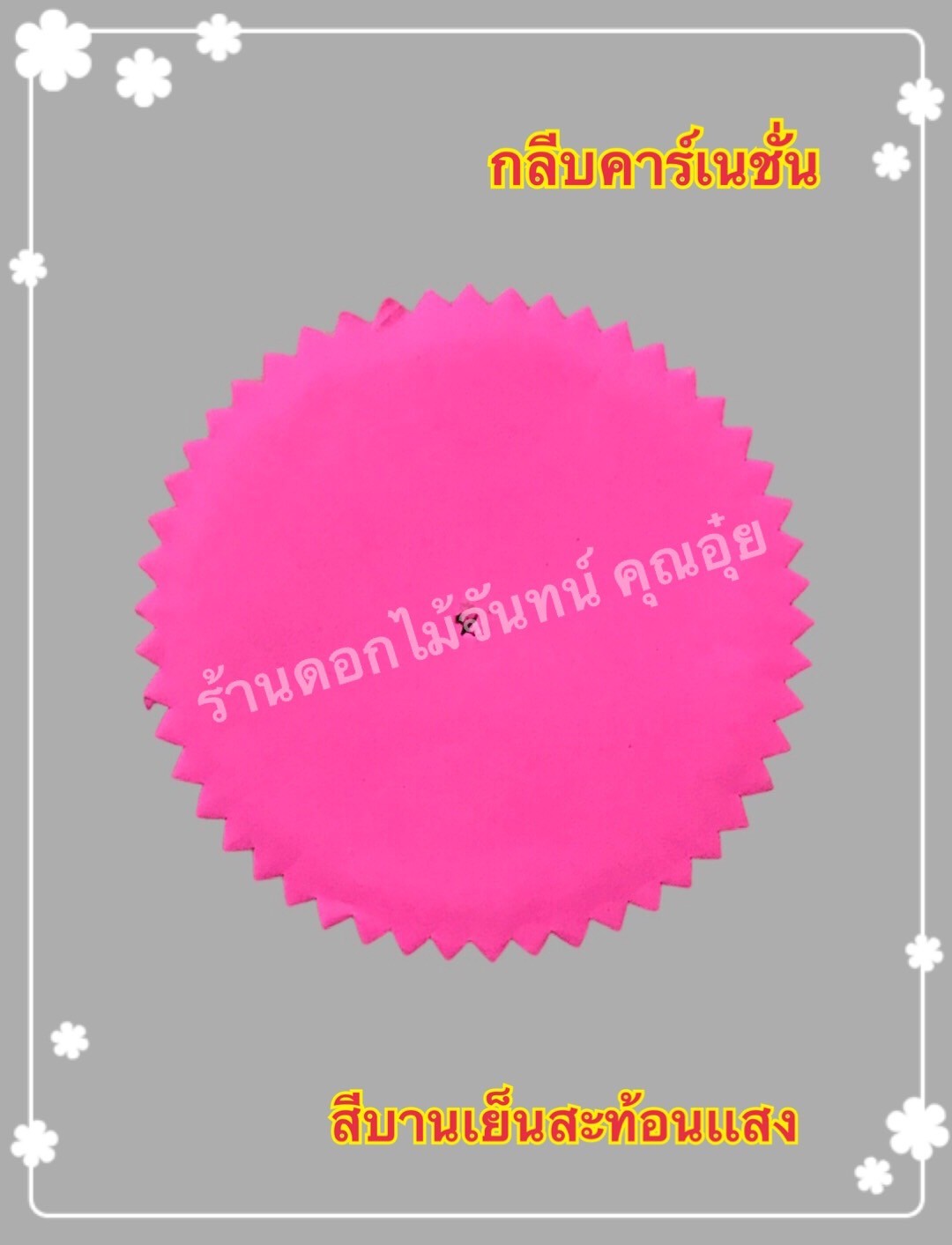 กลีบคาเนชั่น สีบานเย็นสะท้อนแสง