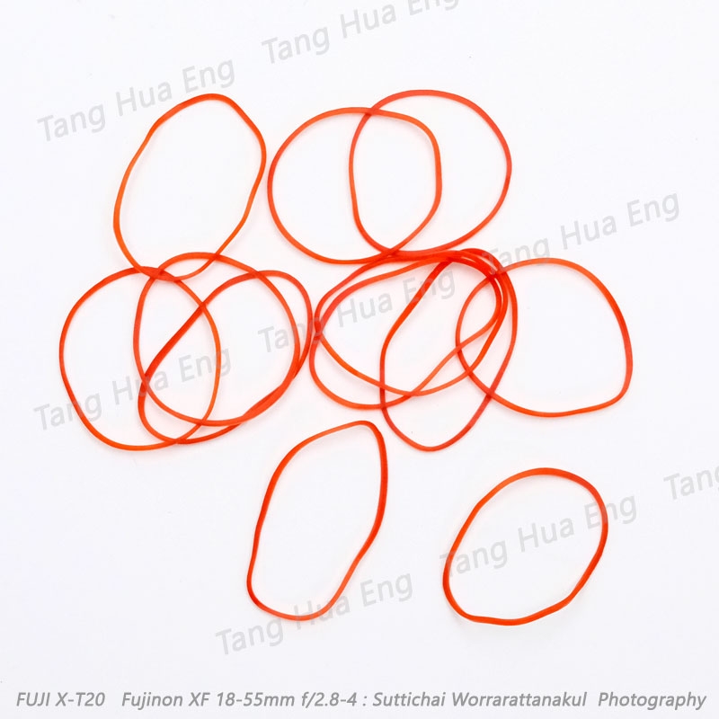 ยางวงใหญ่คตละสี ปลาวาฬ