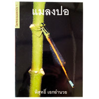 แมลงปอ