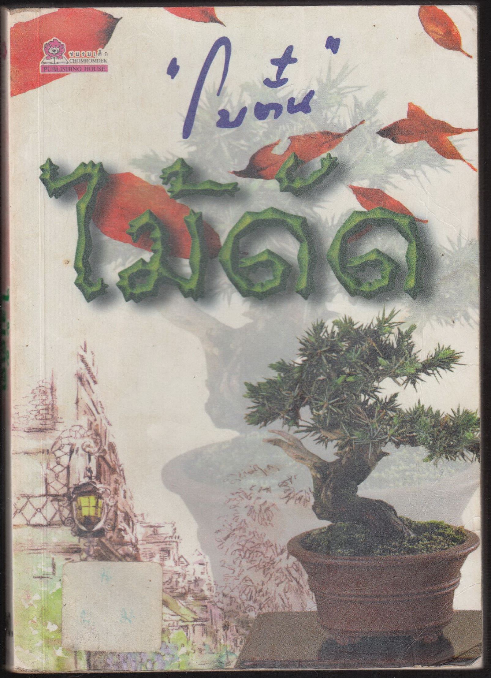 ไม้ดัด