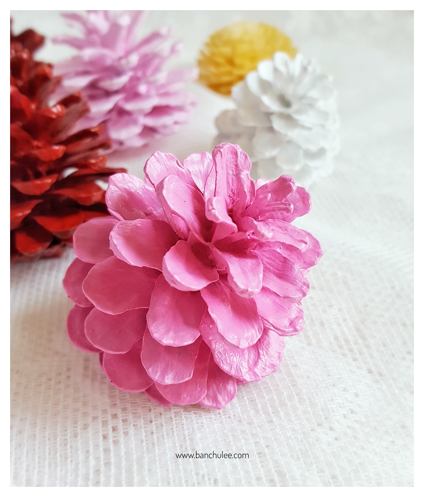 Painted Pine Cone ลูกสนธรรมชาติ ทาสีอะครีลิคสำหรับงานไม้