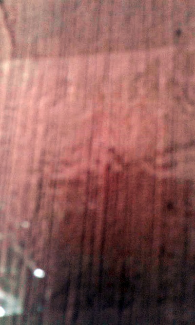 THAICOTTONSIVA ผ้าฝ้ายเข็นมือสีดอกฝ้าย (Cotton of Handwoven ( light brown)) สีดอกฝ้าย 100 CM