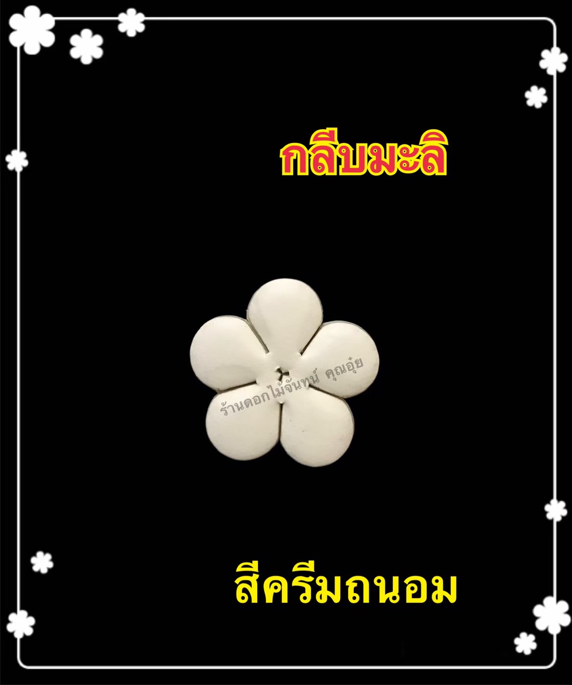 กลีบมะลิ สีครีมถนอม