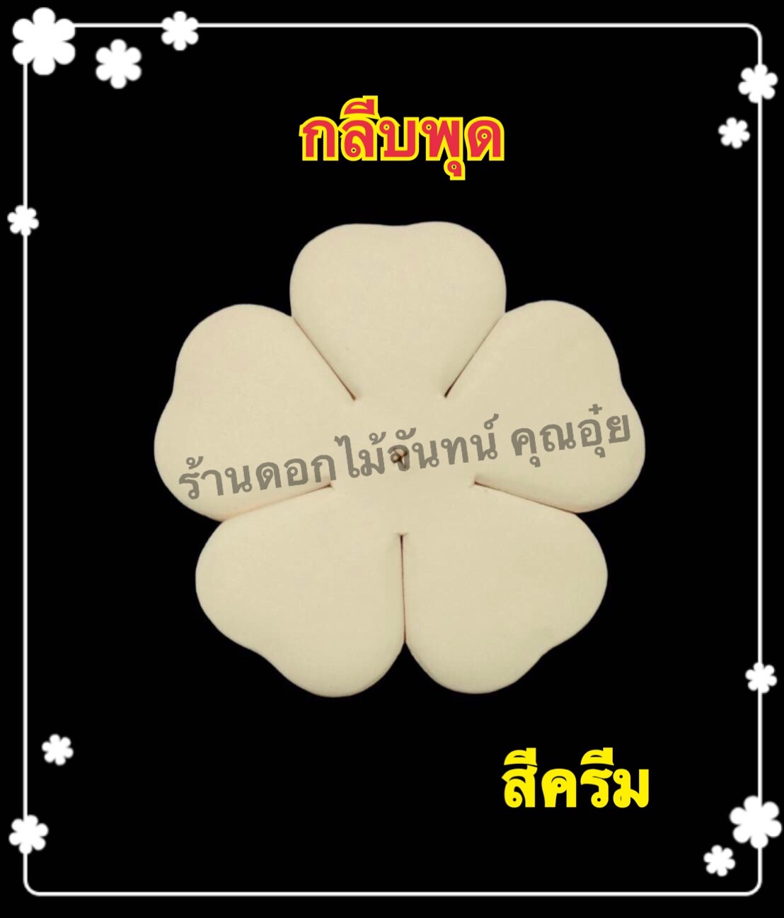 กลีบพุด สีครีม