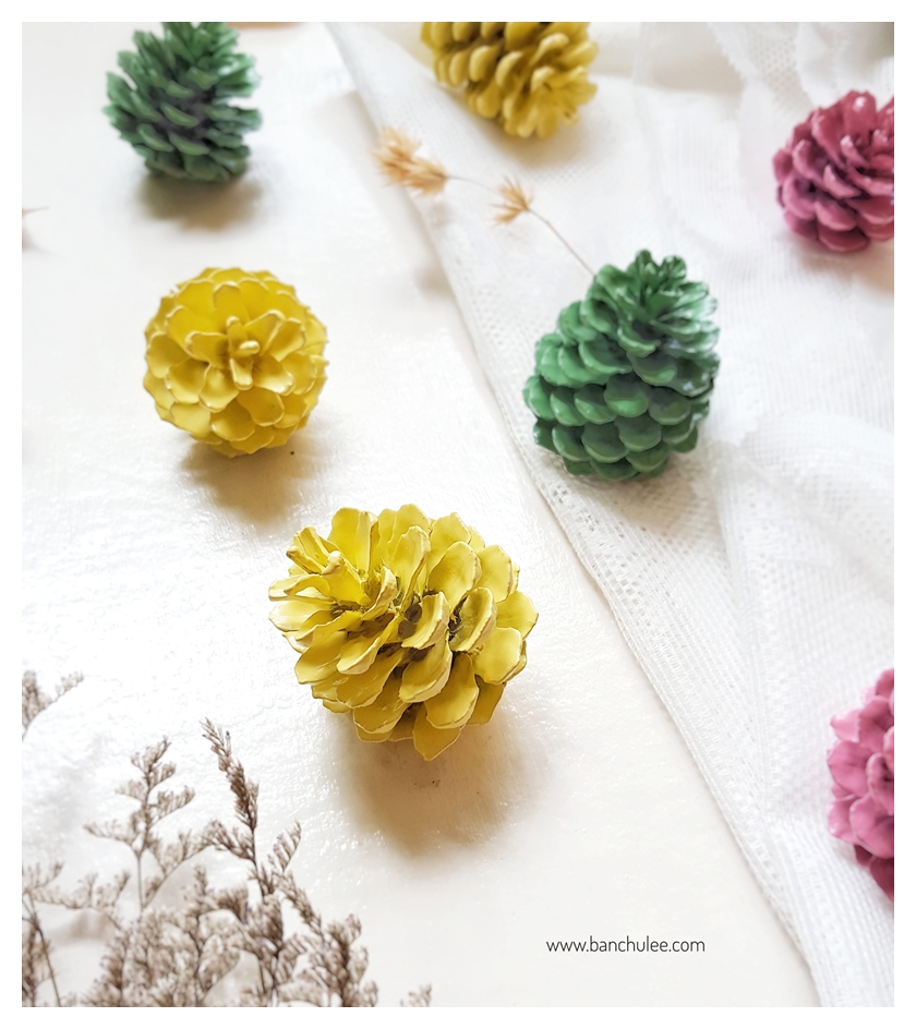Colorful Pine Cone ลูกสนธรรมชาติ พ่นสี