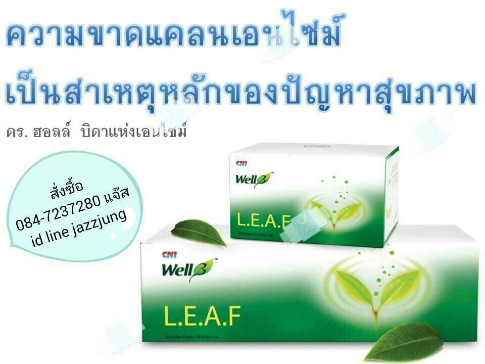 เอนไซม์ Enzyme