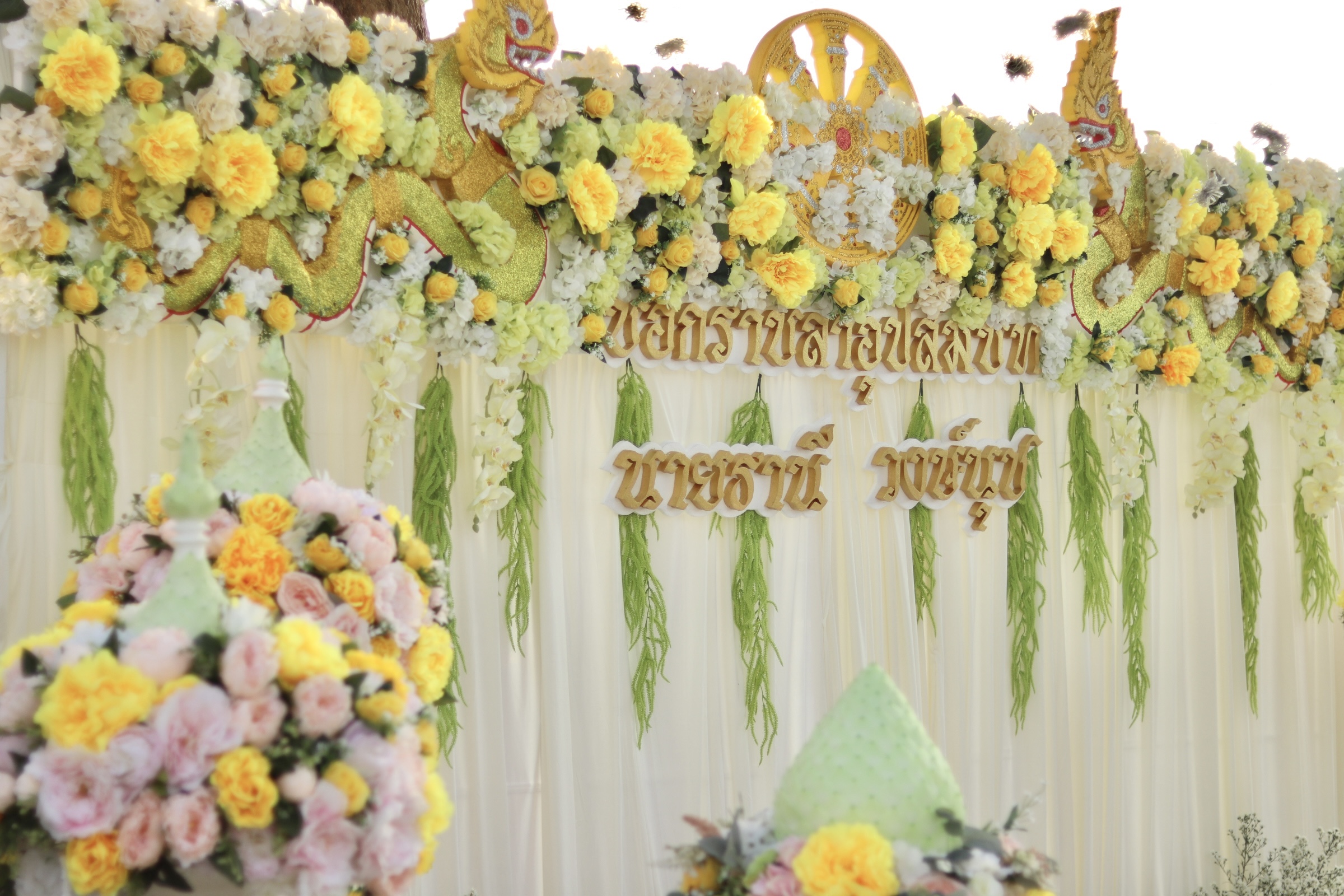 แบคดรอปงานอุปสมบท 6.12.63