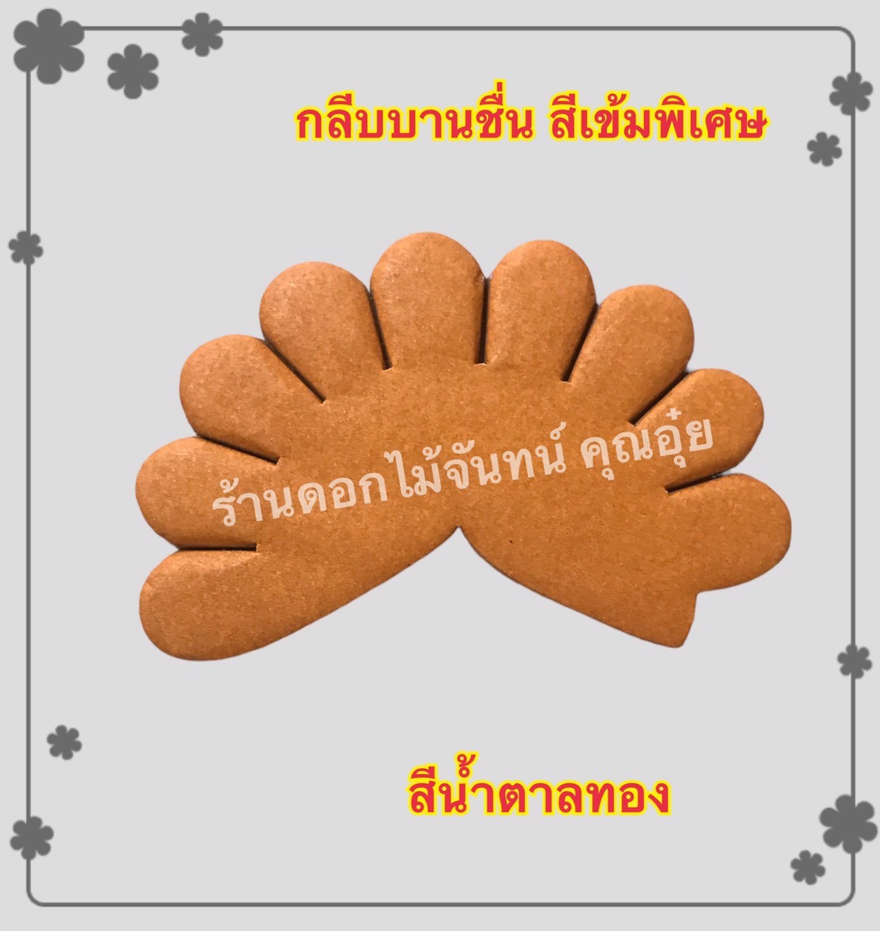 กลีบบานชื่น สีน้ำตาลทอง