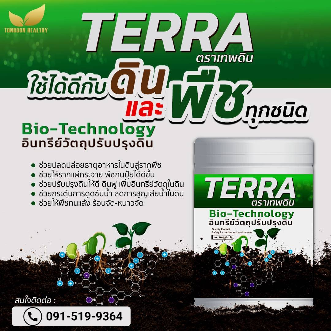 เทอร์ร่าเทพดิน