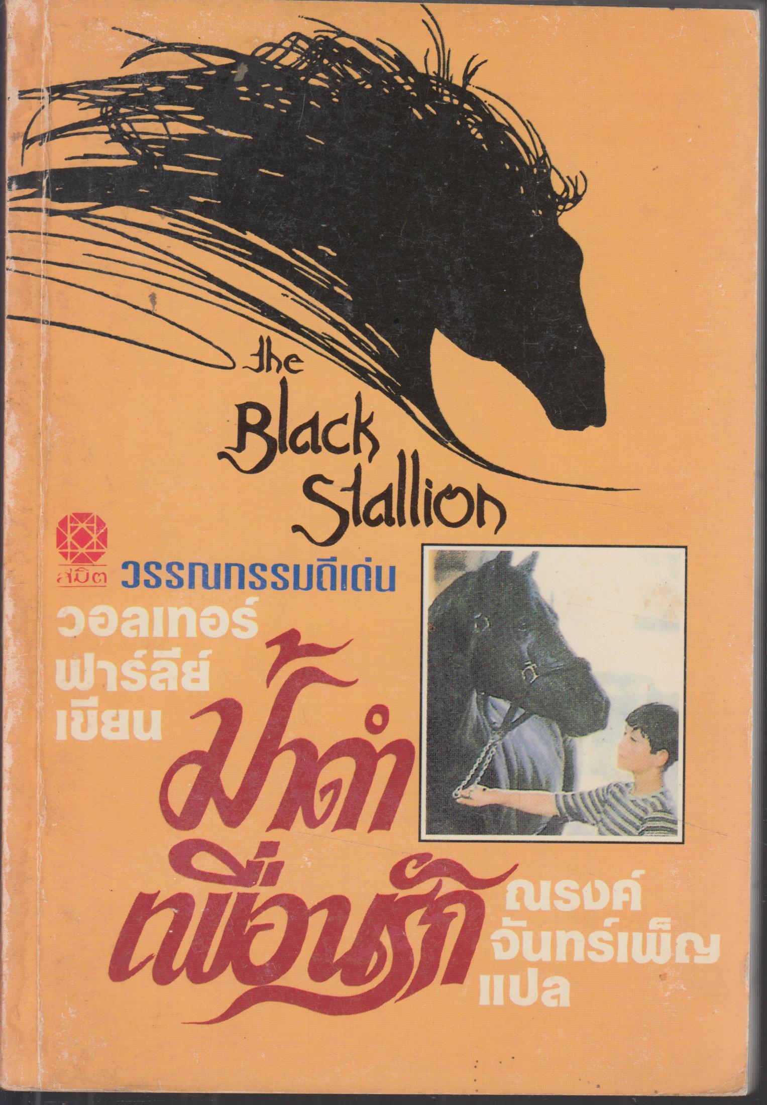 ม้าดำเพื่อนรัก THE BLALLION
