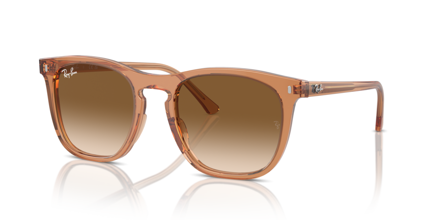 RayBan RB2210F 676451