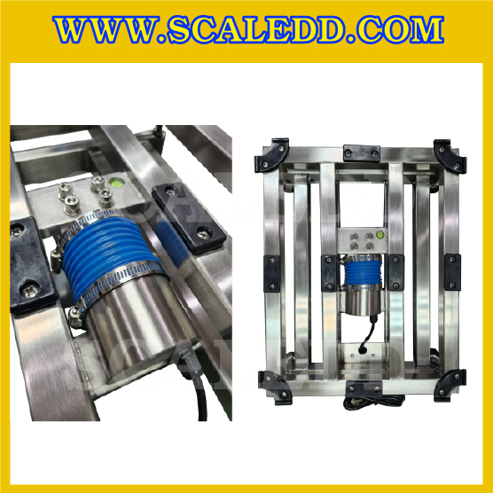 เครื่องชั่งน้ำหนัก สแตนเลส 60 กิโลกรัม ค่าละเอียด 2 กรัม ยี่ห้อ SUNFORD รุ่น TCS-60-SW31S เครื่องชั่งน้ำหนักดิจิตอล(กันน้ำ) แท่นชั่งขนาด30x40cm (รหัสตัวแทน B198)