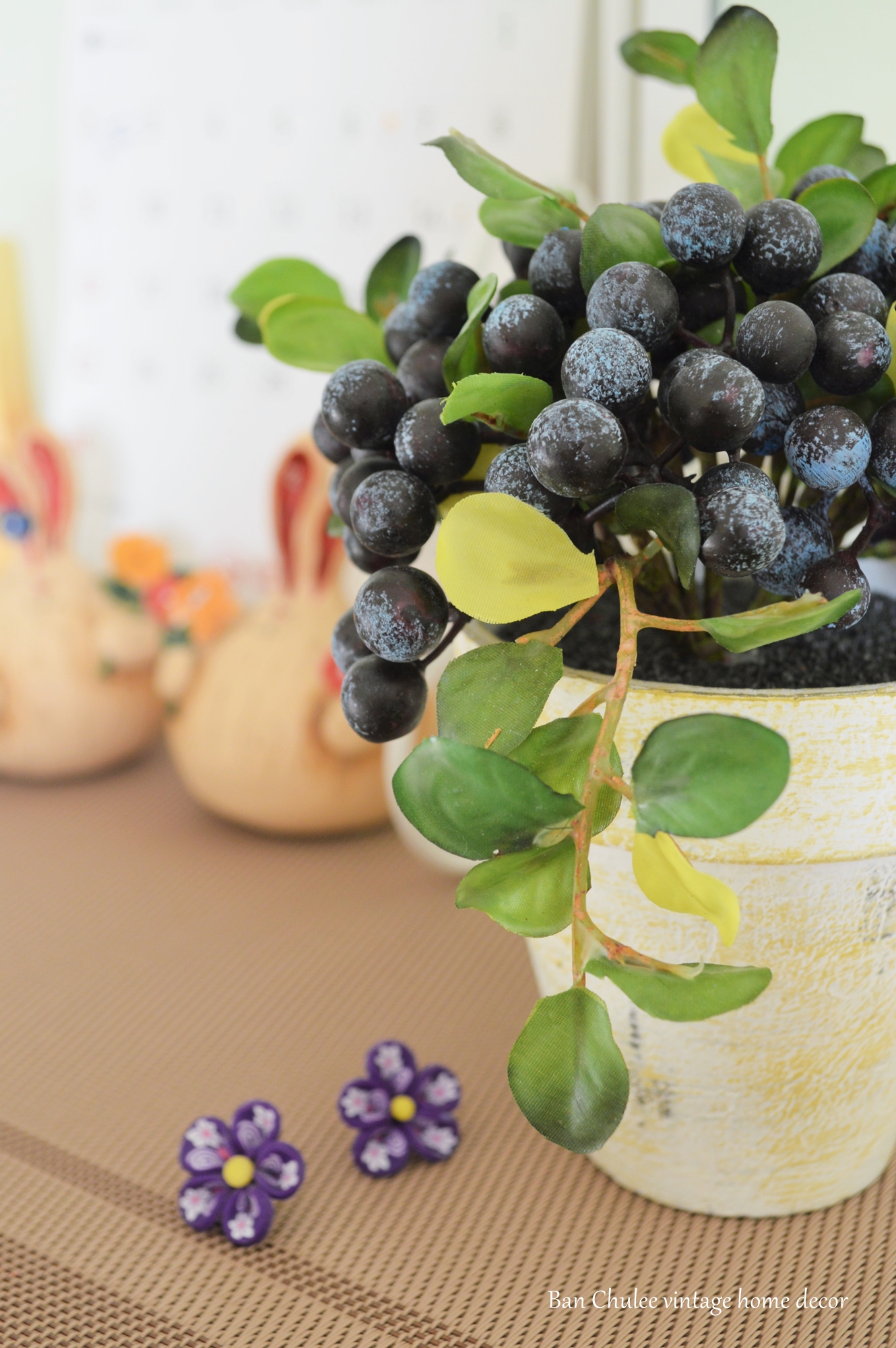 Blueberry In Flowerpot ต้นบลูเบอร์รี่ในกระถาง
