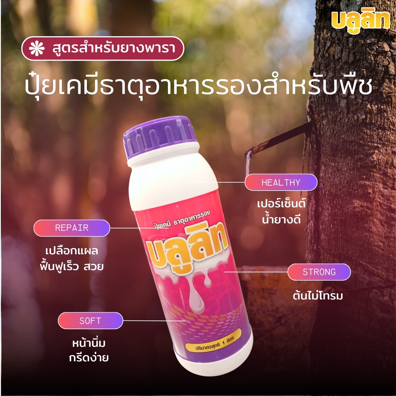 บลูลิท บำรุงต้นยางพารา