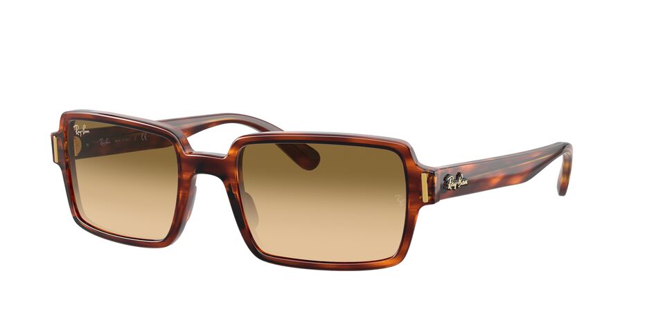 RayBan RB2189 954/51 BENJI