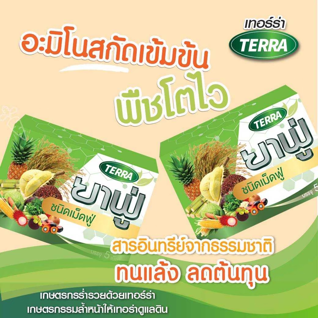 เทอร์ร่า ยาฟู่