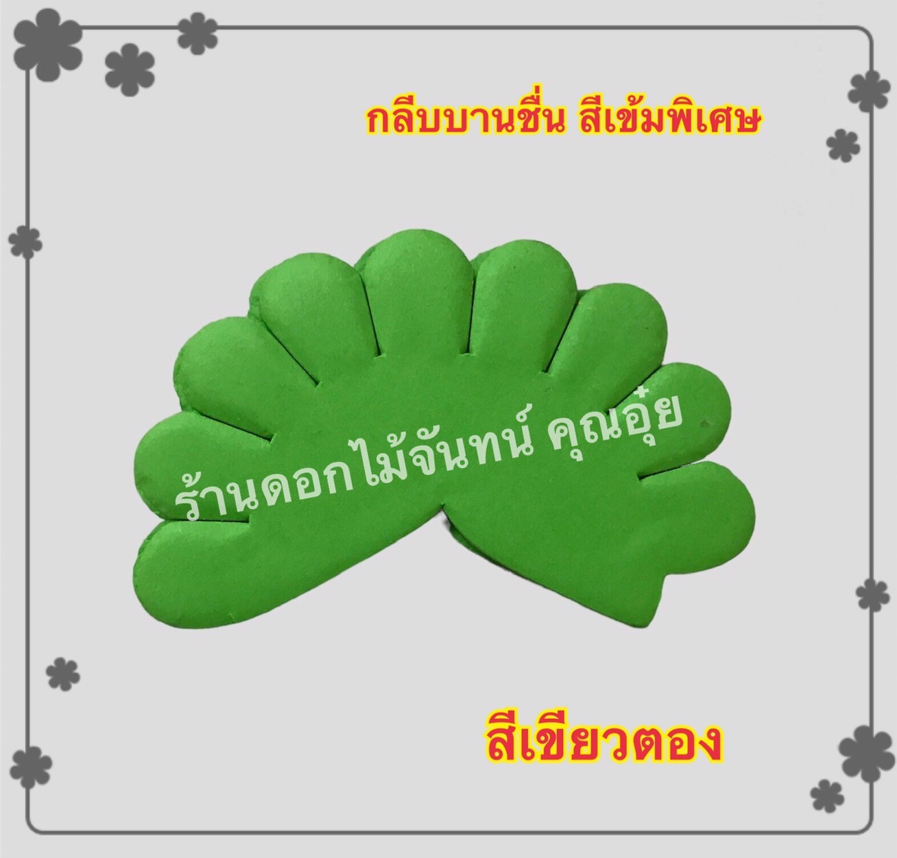 กลีบบานชื่น สีเขียวตอง