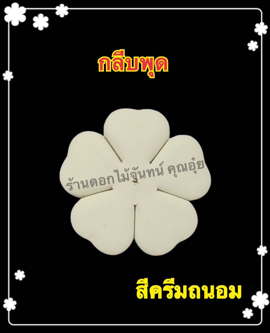 กลีบพุด สีครีมถนอม