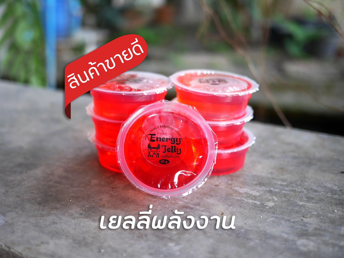 เยลลี่ถ้วย"พลังงาน"(สีแดง) By Siam Beetle