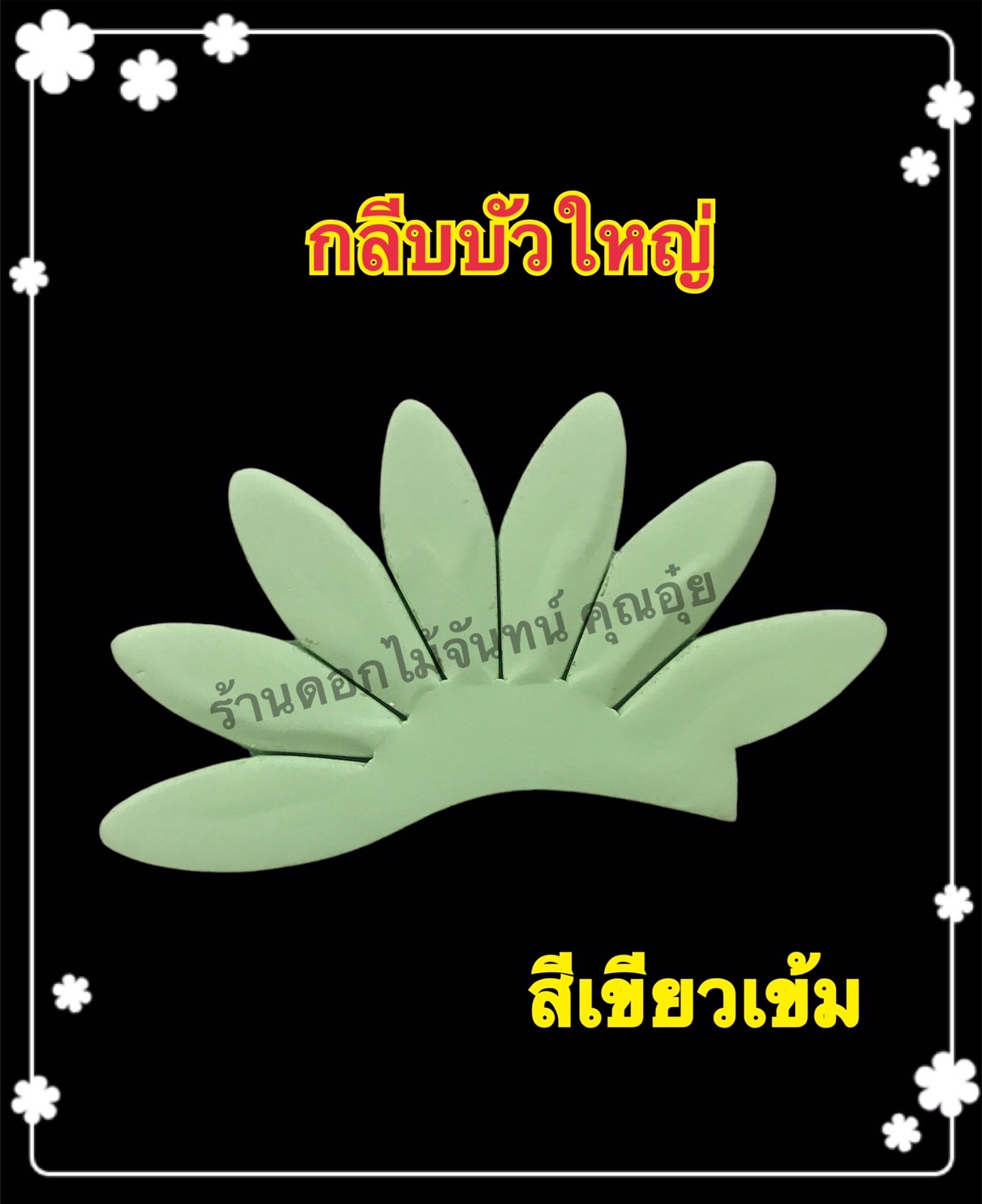 กลีบบัวใหญ่ สีเขียวเข้ม