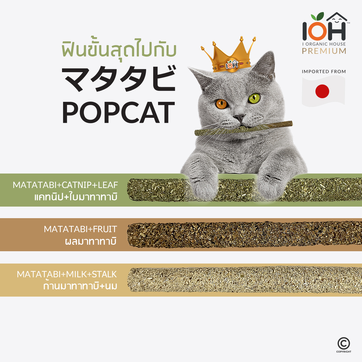 IOH POPCAT ไม้มาทาทาบิเคลือบแคทนิป ป๊อกกี้แมว ไม้ขัดฟันแมว (พร้อมส่ง)