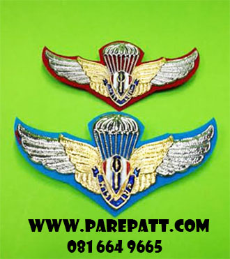 ปีกทหารบก,ปีกสก,ปีกบอลลูน,ปีกพราราเซล