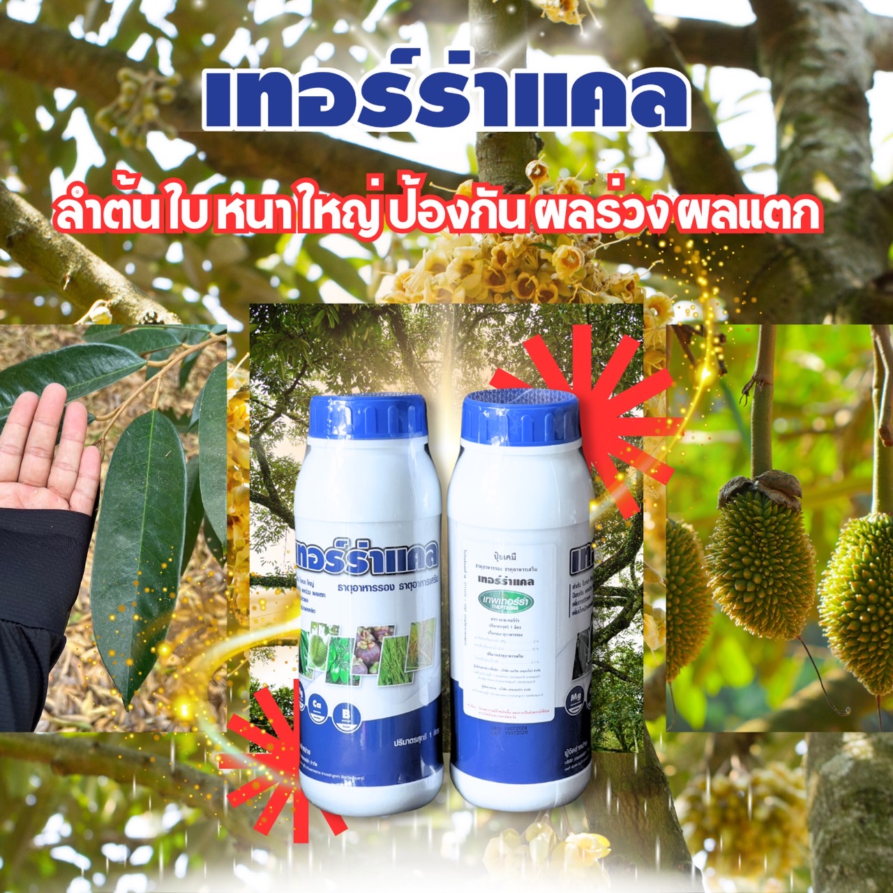 เทอร์ร่าแคล