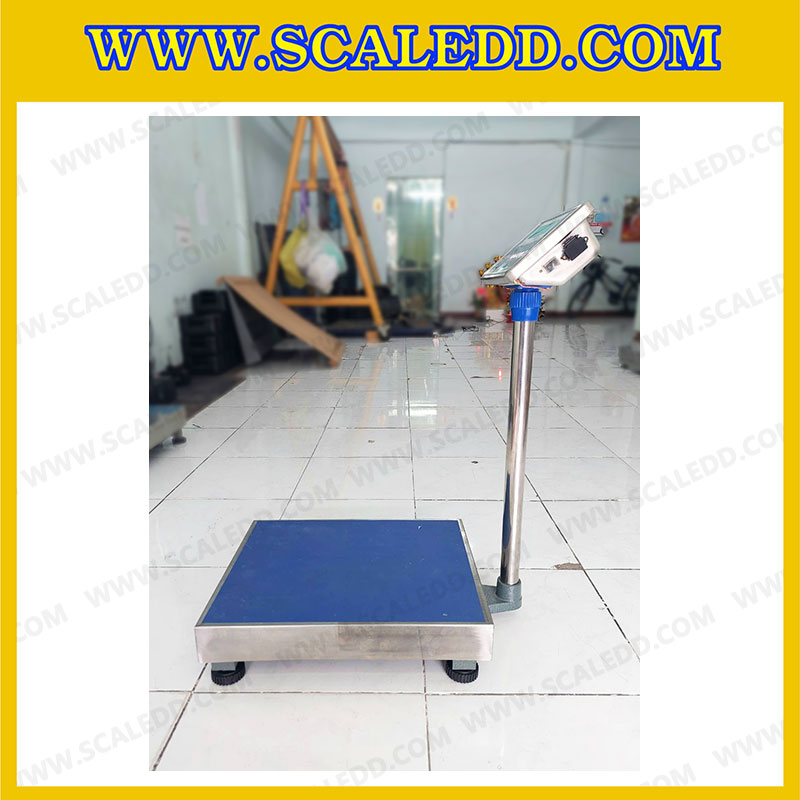 เครื่องชั่งดิจิตอลตั้งพื้น พิกัดน้ำหนัก 300kg ค่าละเอียด 50g ขนาดแท่นชั่ง 40x50 cm. ยี่ห้อ Dynaweight รุ่น DW611 (เครื่องชั่งผ่านตรวจรับรองจากสำนักชั่งตวงวัด)