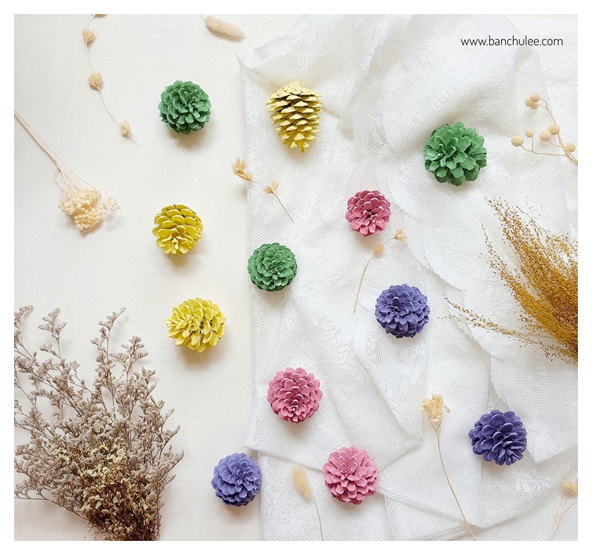 Colorful Pine Cone ลูกสนธรรมชาติ พ่นสี