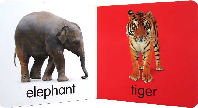 หนังสือภาพสัตว์ / Baby Boppers : baby's first animals (Hinkler)