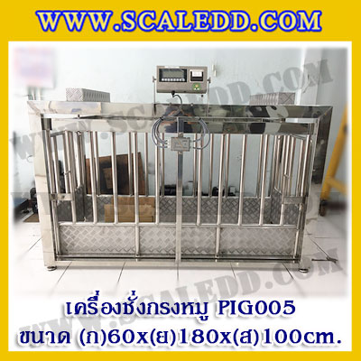 เครื่องชั่งหมูแบบกรงสแตนเลส built in printer ยี่ห้อ SDS รุ่น IDS701-PLCD พิกัด 500kg ความละเอียด 100g ขนาด 60x180x100cm.
