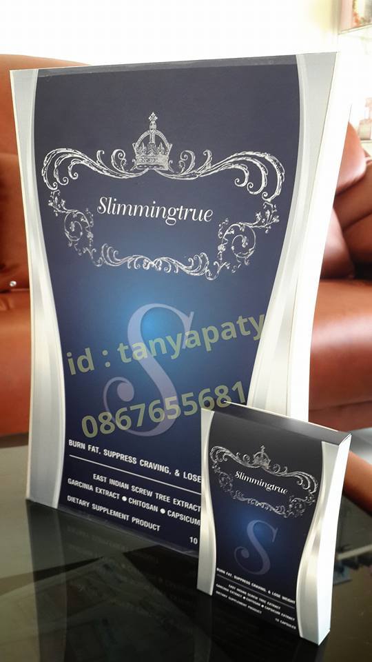 โมเดลกล่องยักษ์ทรงโค้ง