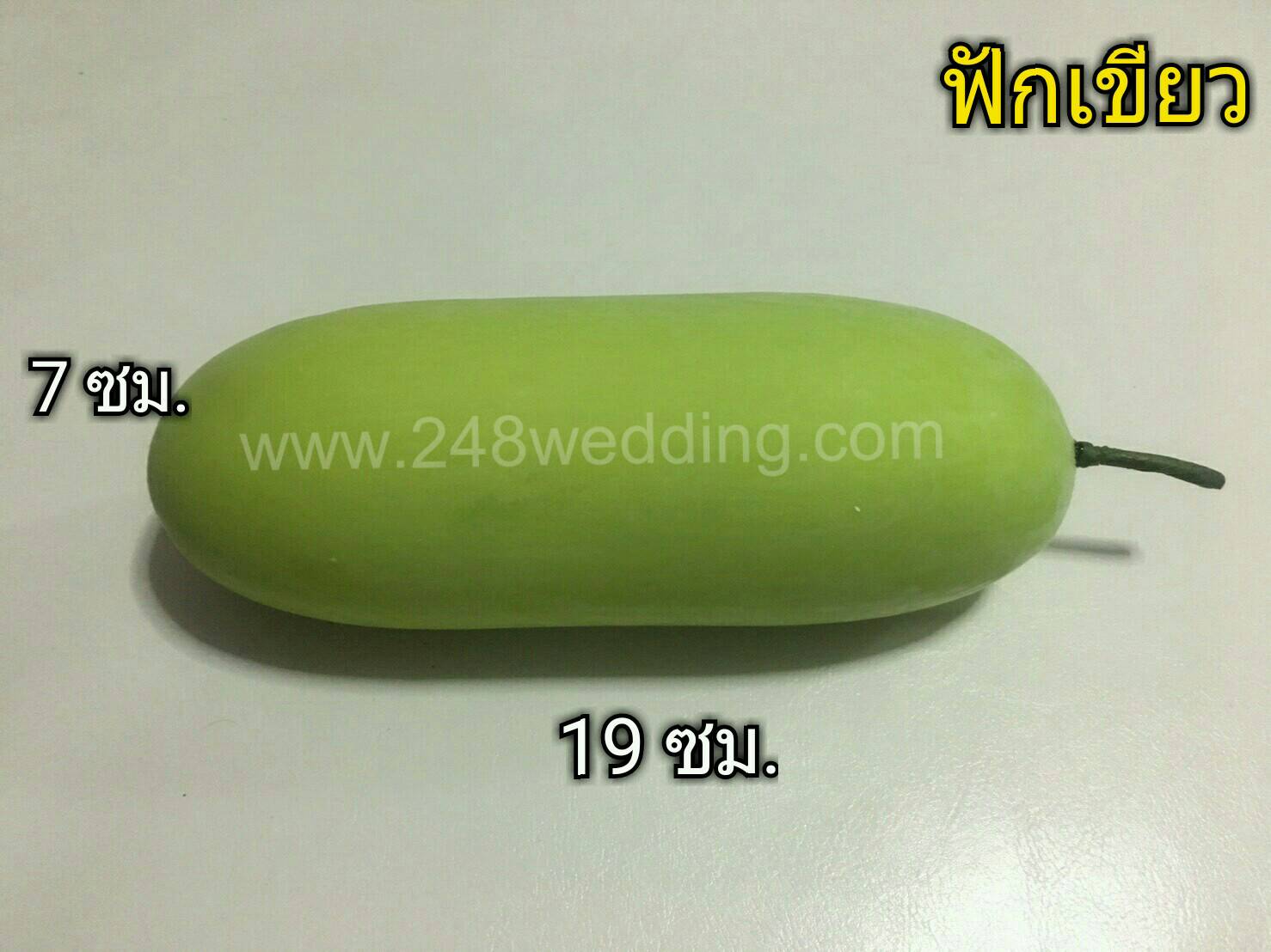 ฟักเขียว (อุปกรณ์ส่งตัวเข้าหอ)