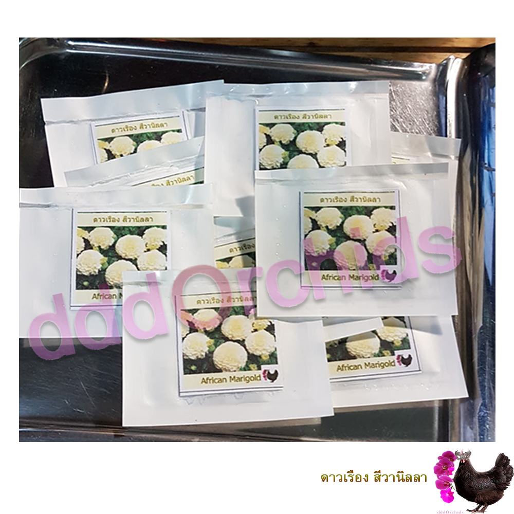 เมล็ดพันธุ์ดาวเรืองกระถาง ดอกสีเหลือง / สีส้ม / สีส้มทอง ดาวเรืองปลูกประดับแปลง หรือปลูกประดับขอบสวน ริมทางเดิน มีซองหลายปริมาณให้เลือก