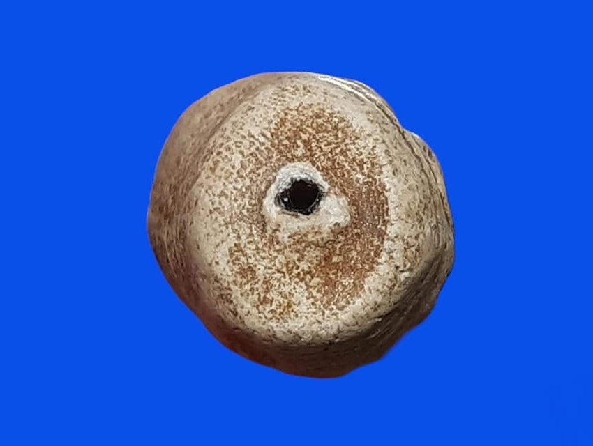 สมเด็จม้วน